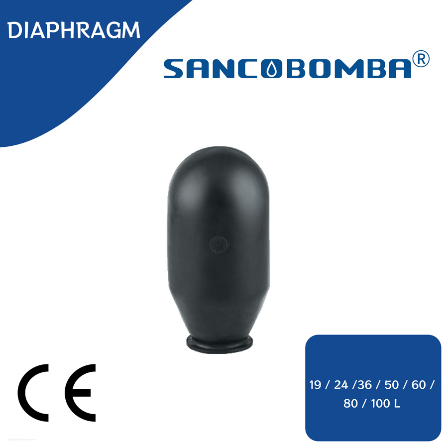 DIAPHRAGM.jpg