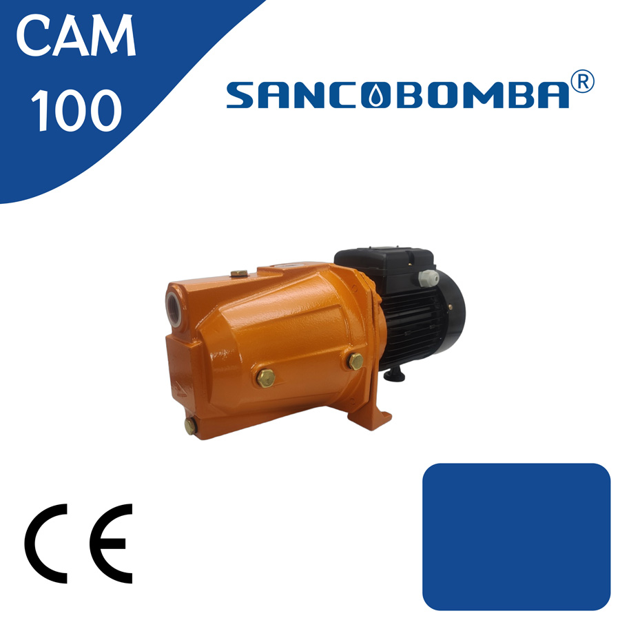 CAM100-1.jpg