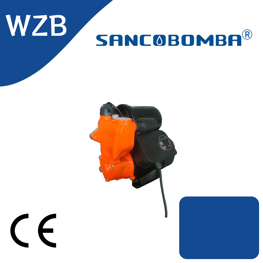 WZB1.jpg