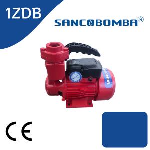 1ZDB