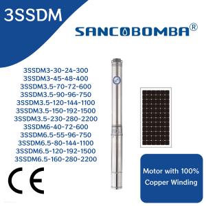 3SSDM