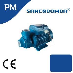 PM45-1