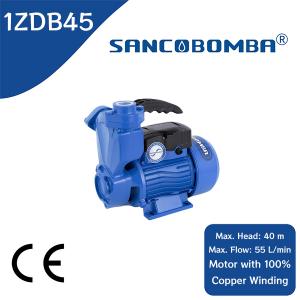1ZDB