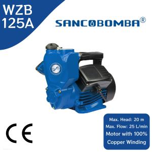 WZB - A