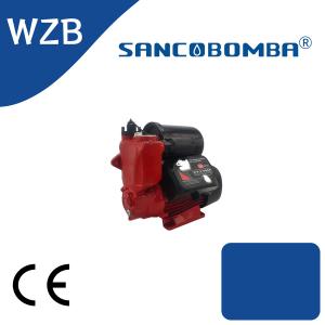 WZB
