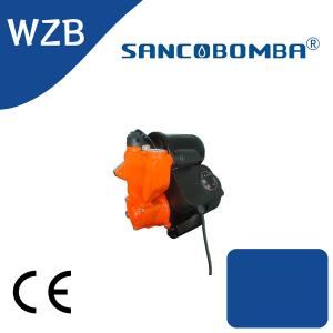 WZB1