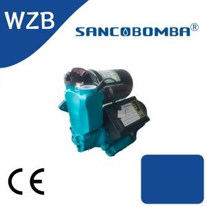 WZB5
